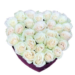 21 white roses arranged in a burgundy heart-shaped box